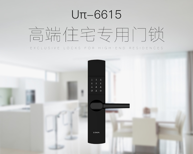 乐肯指纹锁 乐肯指纹锁
