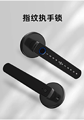 6521-指纹执手锁